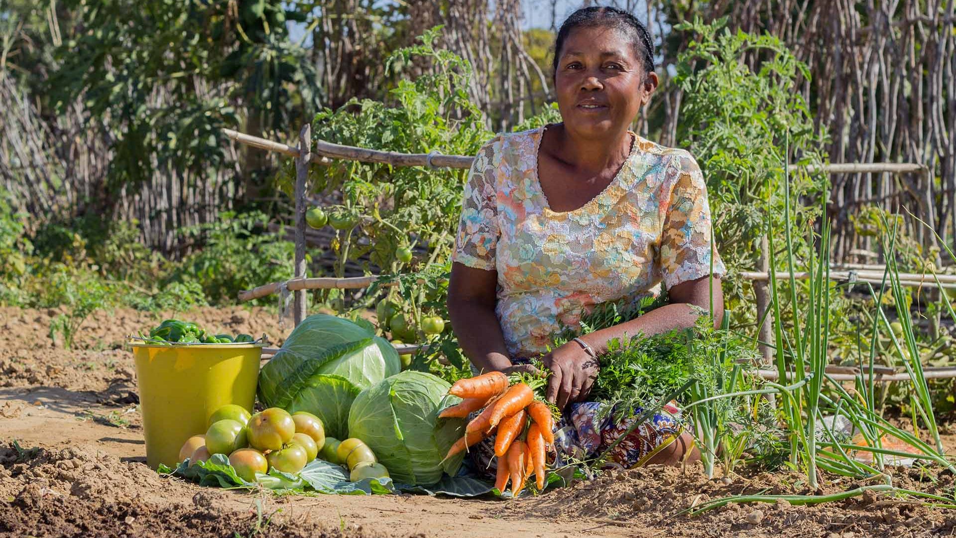 Madagascar crisi climatica e agricoltura sostenibile