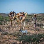 Somalia rischio carestia