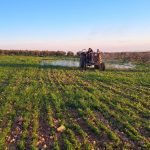 Agricoltura sostenibile in Siria