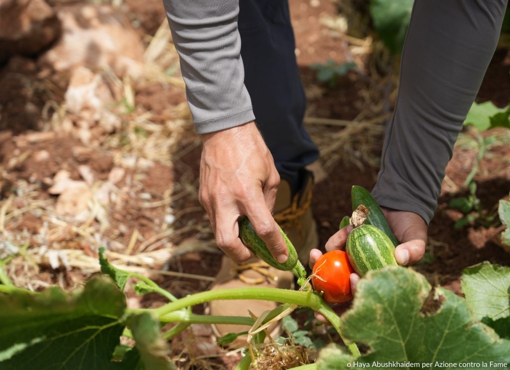 Agricoltura a Gaza