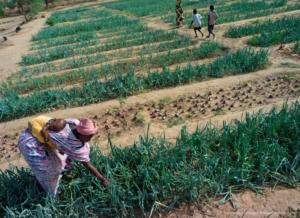 Mauritania stagione della fame orti comunitari